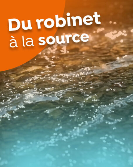 20250623 SERIE ETE EP0 VIGN