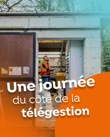 OPP 3090 Vignette 31 4 5 UJA 05