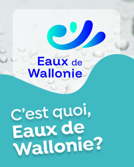 OPP 3090 Vignette 37 1 1