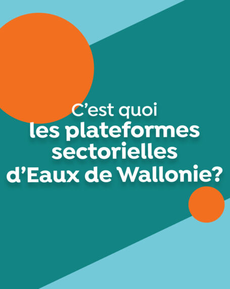 OPP 3090 Vignette 37 3