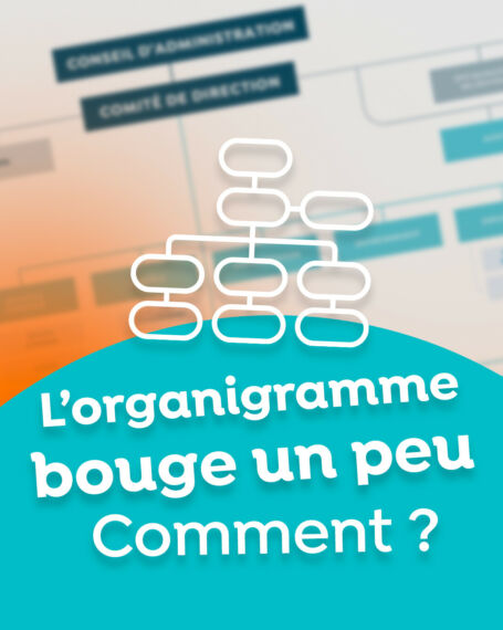 OPP 3090 Vignette 41 1 4 5