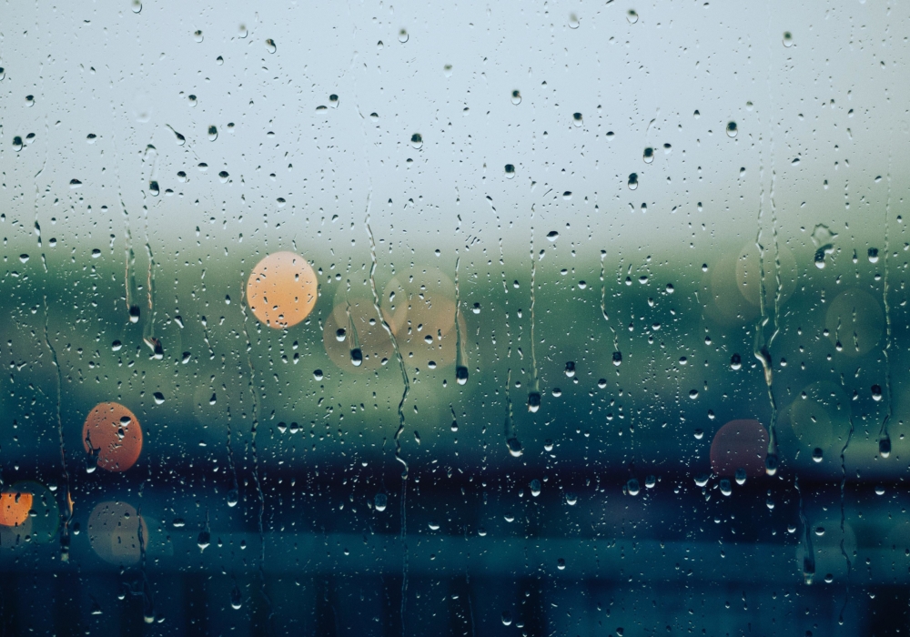 Marre de la pluie ? Pourtant, c’est une bonne chose...