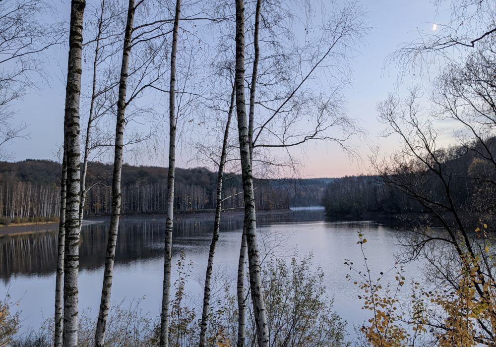Semaine 6 : balade autour d’un lac