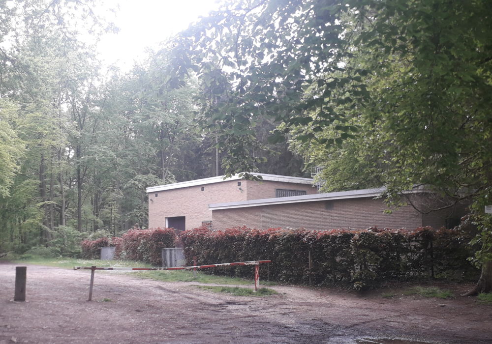 Semaine 2 : petit jogging dans les bois...
