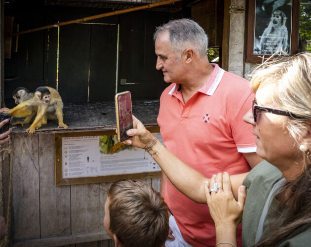 Pairi Daiza : retour en images sur notre Family Day
