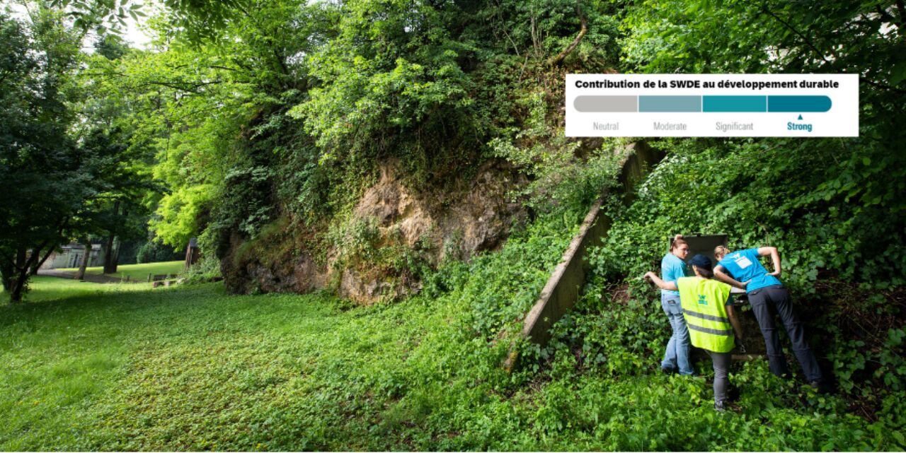 Copie de Images Pat 17