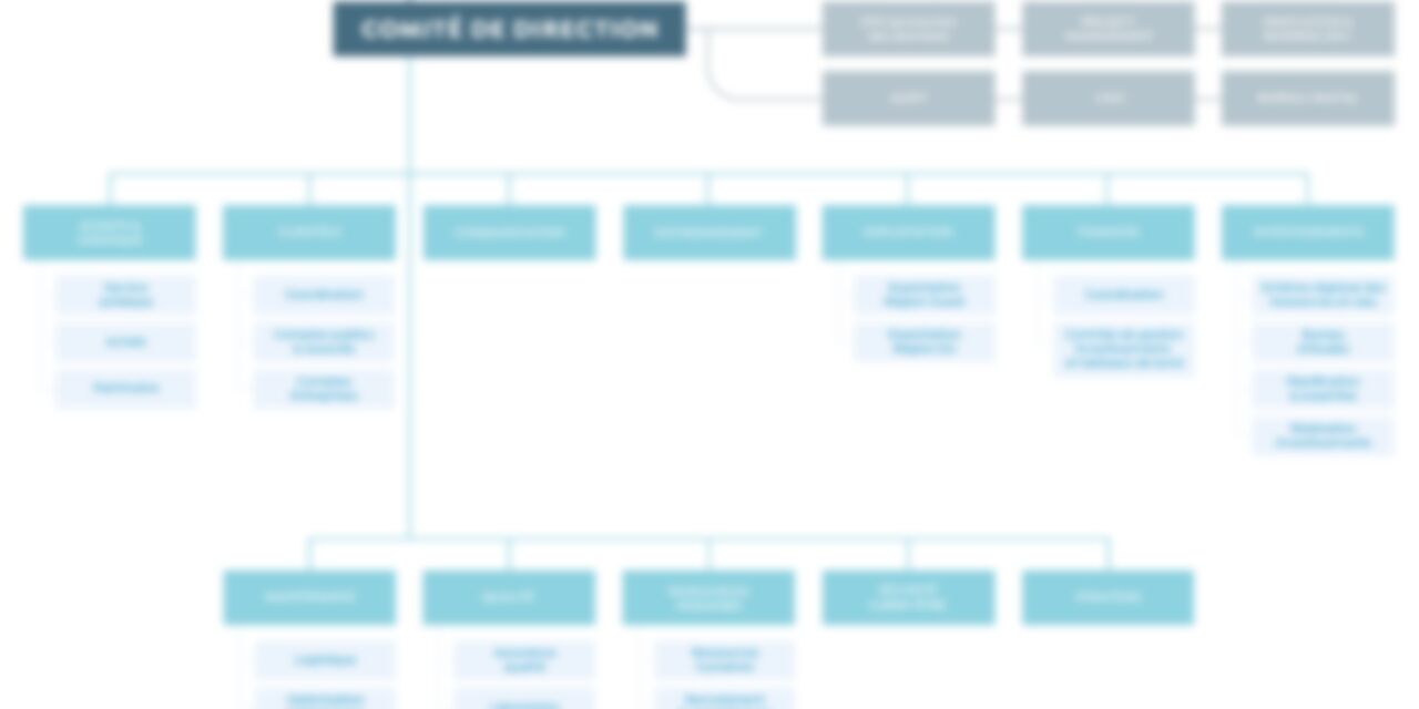 Organigramme floute vitre opacifiee
