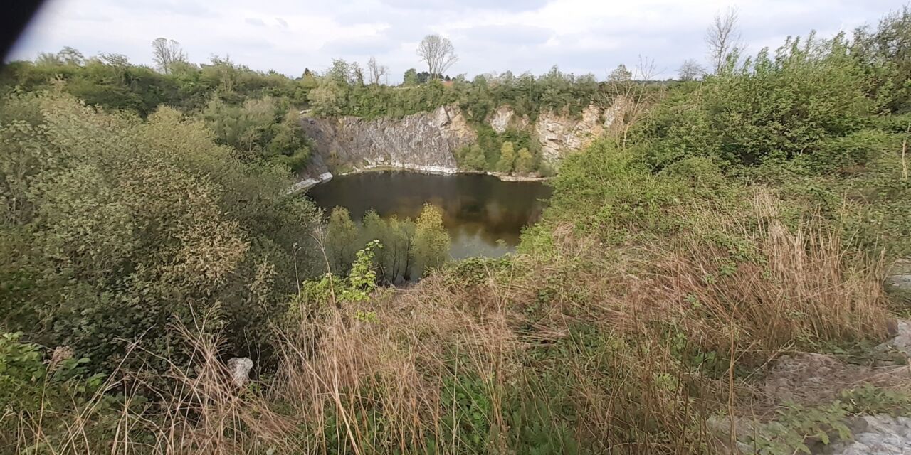 Carrière de Gerpinnes P Vanesse