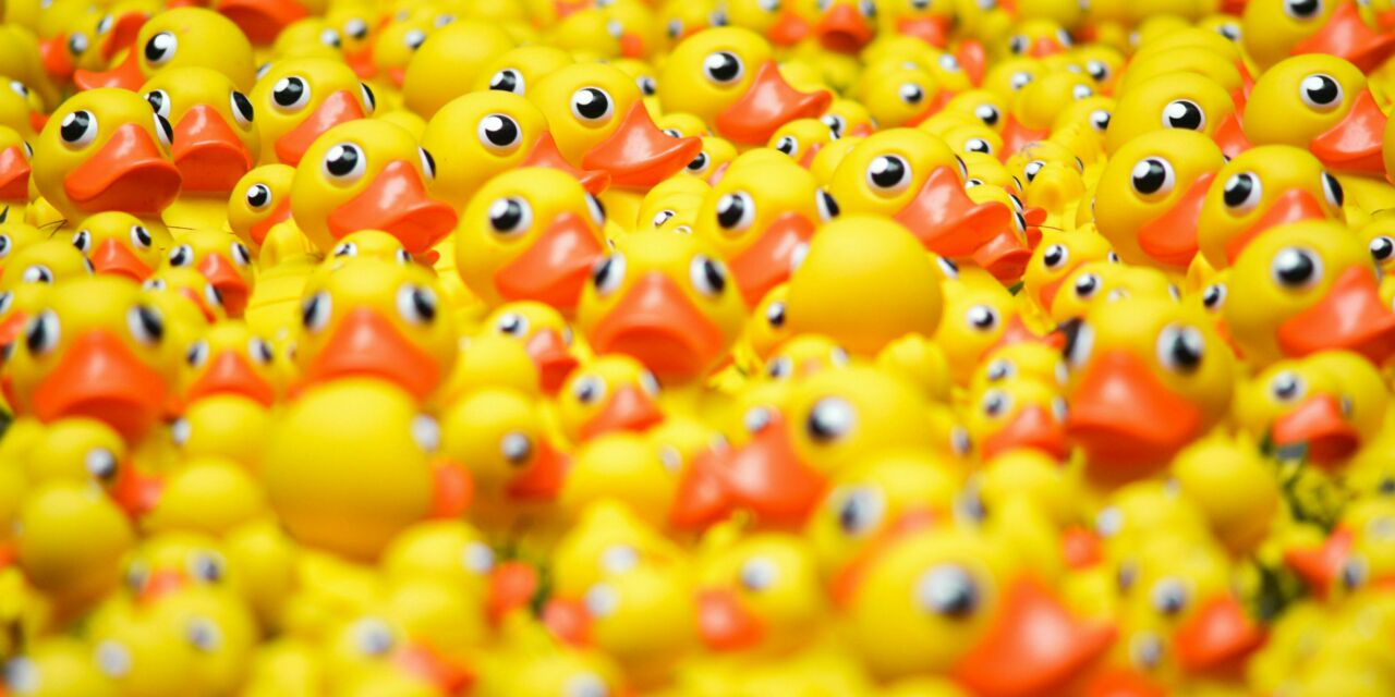 Yellow ducks