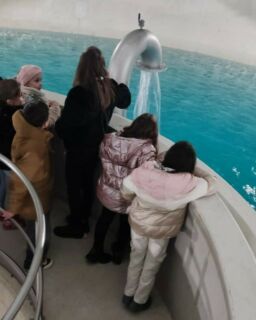 2025 externat St T Joseph Mons 4