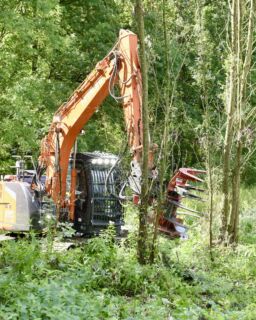 SWDE Site Spiennes18