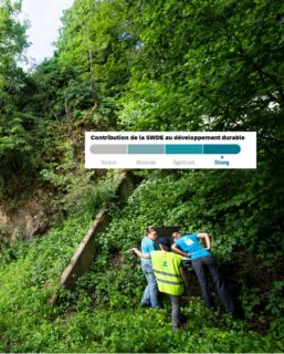 Copie de Images Pat 17