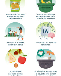 OPP 3609 SWDE 12 19 2025 Infographies V3